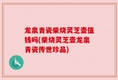 龙泉青瓷柴烧灵芝壶值钱吗(柴烧灵芝壶龙泉青瓷传世珍品)
