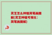 灵芝怎么种植简笔画图解(灵芝种植可视化：简笔画图解)