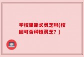学校里能长灵芝吗(校园可否种植灵芝？)