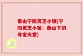 泰山宁阳灵芝小镇(宁阳灵芝小镇：泰山下的寻宝天堂)