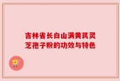 吉林省长白山满黄芪灵芝孢子粉的功效与特色