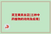 灵芝黄芪白芷(三种中药植物的功效及应用)