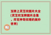 玉牌上灵芝纹图片大全(灵芝纹玉牌图片合集，尽览神奇纹理的美妙世界)