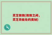 灵芝微微(微微之间，灵芝异能处的奥秘)