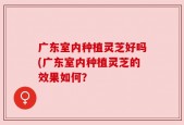 广东室内种植灵芝好吗(广东室内种植灵芝的效果如何？