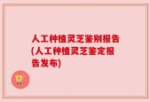 人工种植灵芝鉴别报告(人工种植灵芝鉴定报告发布)