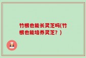 竹根也能长灵芝吗(竹根也能培养灵芝？)