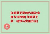 白鹤灵芝草的作用及食用方法视频(白鹤灵芝草：功效与食用方法)