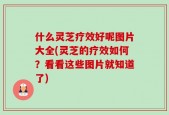 什么灵芝疗效好呢图片大全(灵芝的疗效如何？看看这些图片就知道了)
