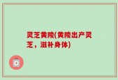 灵芝黄陵(黄陵出产灵芝，滋补身体)