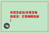 许灵芝近况(许灵芝现状近况：已获保释出狱)