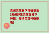 贵州灵芝林下种植基地(贵州野生灵芝在林下种植：探访灵芝种植基地)