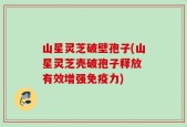 山星灵芝破壁孢子(山星灵芝壳破孢子释放 有效增强免疫力)