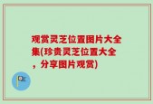 观赏灵芝位置图片大全集(珍贵灵芝位置大全，分享图片观赏)