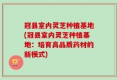 冠县室内灵芝种植基地(冠县室内灵芝种植基地：培育高品质药材的新模式)