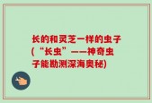长的和灵芝一样的虫子(“长虫”——神奇虫子能勘测深海奥秘)