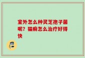 室外怎么种灵芝孢子菌呢？猫癣怎么治疗好得快