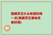 西藏灵芝什么味道好闻一点(西藏灵芝香味浓郁好闻)