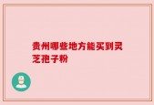 贵州哪些地方能买到灵芝孢子粉