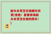 超大木灵芝价格图片欣赏(惊艳！查看现场超大木灵芝价格的照片！)