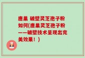 唐巢 破壁灵芝孢子粉如何(唐巢灵芝孢子粉——破壁技术呈现出完美效果！)