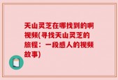 天山灵芝在哪找到的啊视频(寻找天山灵芝的旅程：一段感人的视频故事)