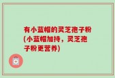 有小蓝帽的灵芝孢子粉(小蓝帽加持，灵芝孢子粉更营养)