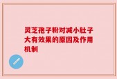 灵芝孢子粉对减小肚子大有效果的原因及作用机制
