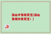 深山中发现灵芝(深山发现珍贵灵芝！)