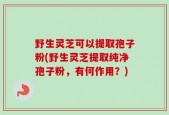 野生灵芝可以提取孢子粉(野生灵芝提取纯净孢子粉，有何作用？)