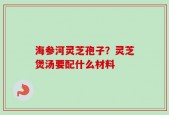 海参河灵芝孢子？灵芝煲汤要配什么材料
