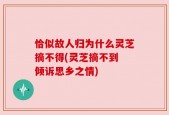 恰似故人归为什么灵芝摘不得(灵芝摘不到 倾诉思乡之情)