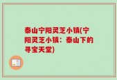 泰山宁阳灵芝小镇(宁阳灵芝小镇：泰山下的寻宝天堂)