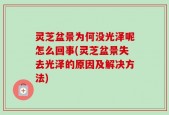 灵芝盆景为何没光泽呢怎么回事(灵芝盆景失去光泽的原因及解决方法)