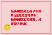 品高破壁灵芝孢子粉图片(品高灵芝孢子粉：独特破壁工艺提取，纯正配方传承)