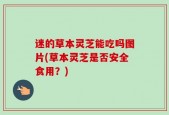 迷的草本灵芝能吃吗图片(草本灵芝是否安全食用？)