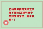 竹林里采摘野生灵芝子能不能吃(采摘竹林中的野生灵芝子，能否食用？)