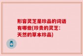 形容灵芝是珍品的词语有哪些(珍贵的灵芝：天然的草本珍品)