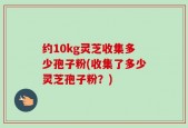 约10kg灵芝收集多少孢子粉(收集了多少灵芝孢子粉？)