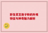 野生灵芝孢子粉的外观特征与神奇魅力解析