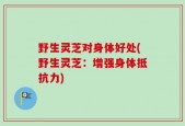 野生灵芝对身体好处(野生灵芝：增强身体抵抗力)