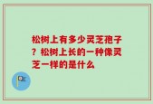 松树上有多少灵芝孢子？松树上长的一种像灵芝一样的是什么