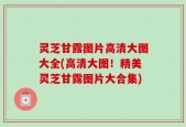 灵芝甘露图片高清大图大全(高清大图！精美灵芝甘露图片大合集)