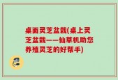 桌面灵芝盆栽(桌上灵芝盆栽——仙草机助您养殖灵芝的好帮手)