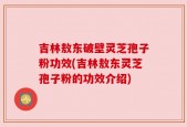 吉林敖东破壁灵芝孢子粉功效(吉林敖东灵芝孢子粉的功效介绍)