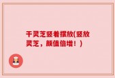 干灵芝竖着摆放(竖放灵芝，颜值倍增！)