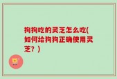 狗狗吃的灵芝怎么吃(如何给狗狗正确使用灵芝？)