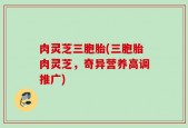 肉灵芝三胞胎(三胞胎肉灵芝，奇异营养高调推广)