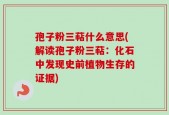 孢子粉三萜什么意思(解读孢子粉三萜：化石中发现史前植物生存的证据)