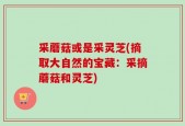 采蘑菇或是采灵芝(摘取大自然的宝藏：采摘蘑菇和灵芝)